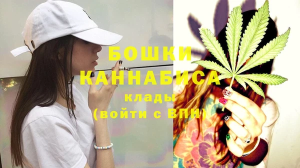 стаф Верхний Тагил