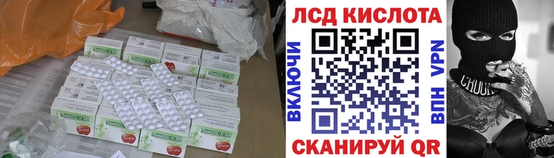 LSD-25 экстази кислота  блэк спрут как зайти  Гвардейск 