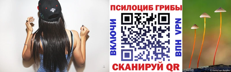Псилоцибиновые грибы MAGIC MUSHROOMS где продают Гвардейск